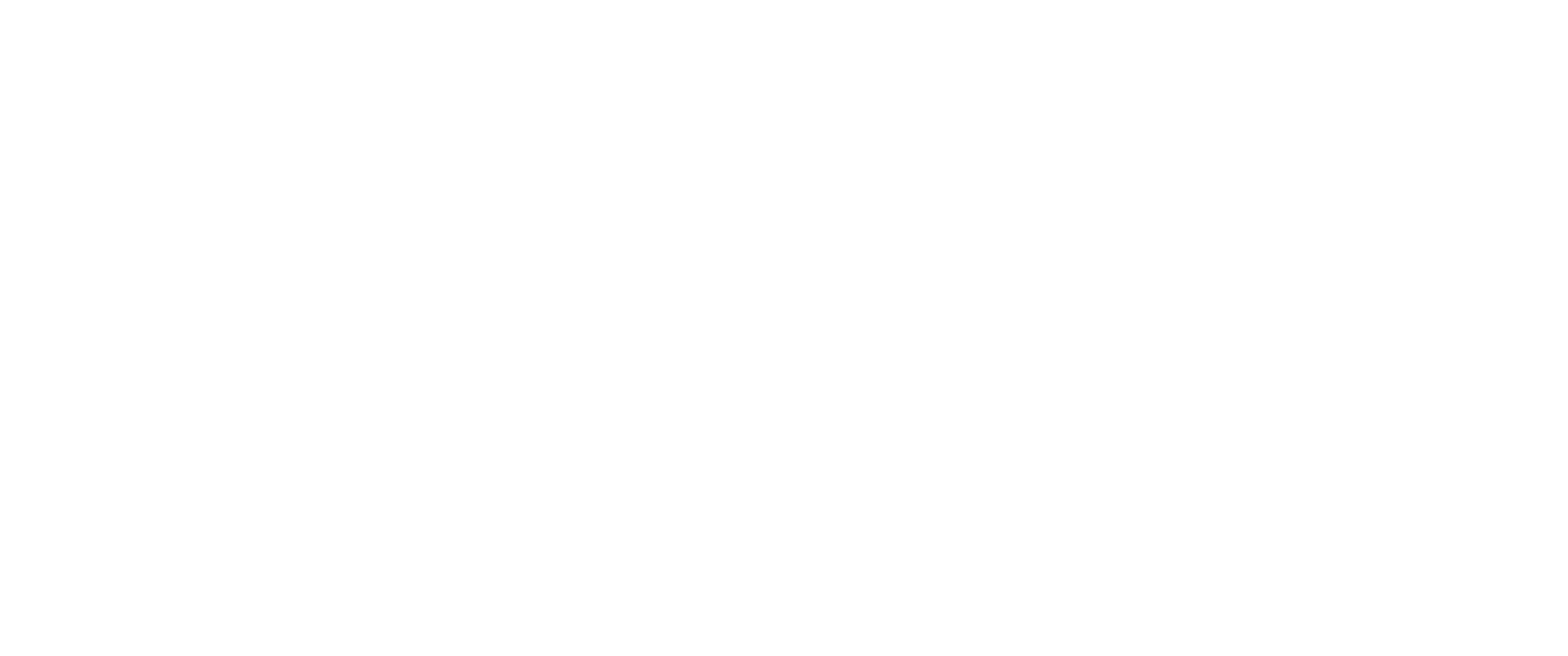 LOGOTIPO FIMEG